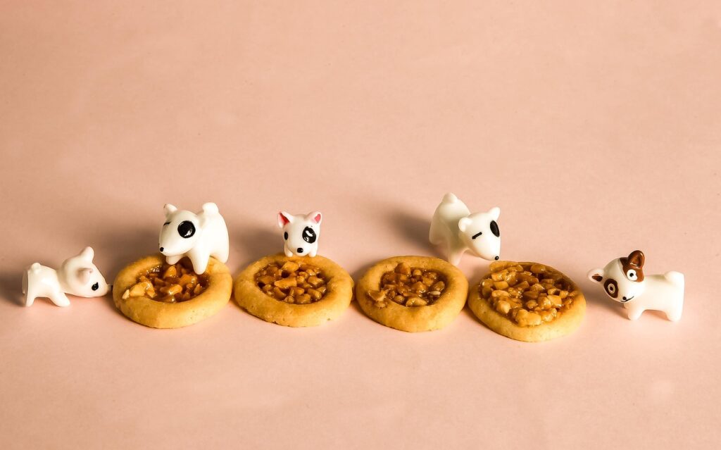 ゴールデンウィークにぴったりな食べ歩きデートスポットは？