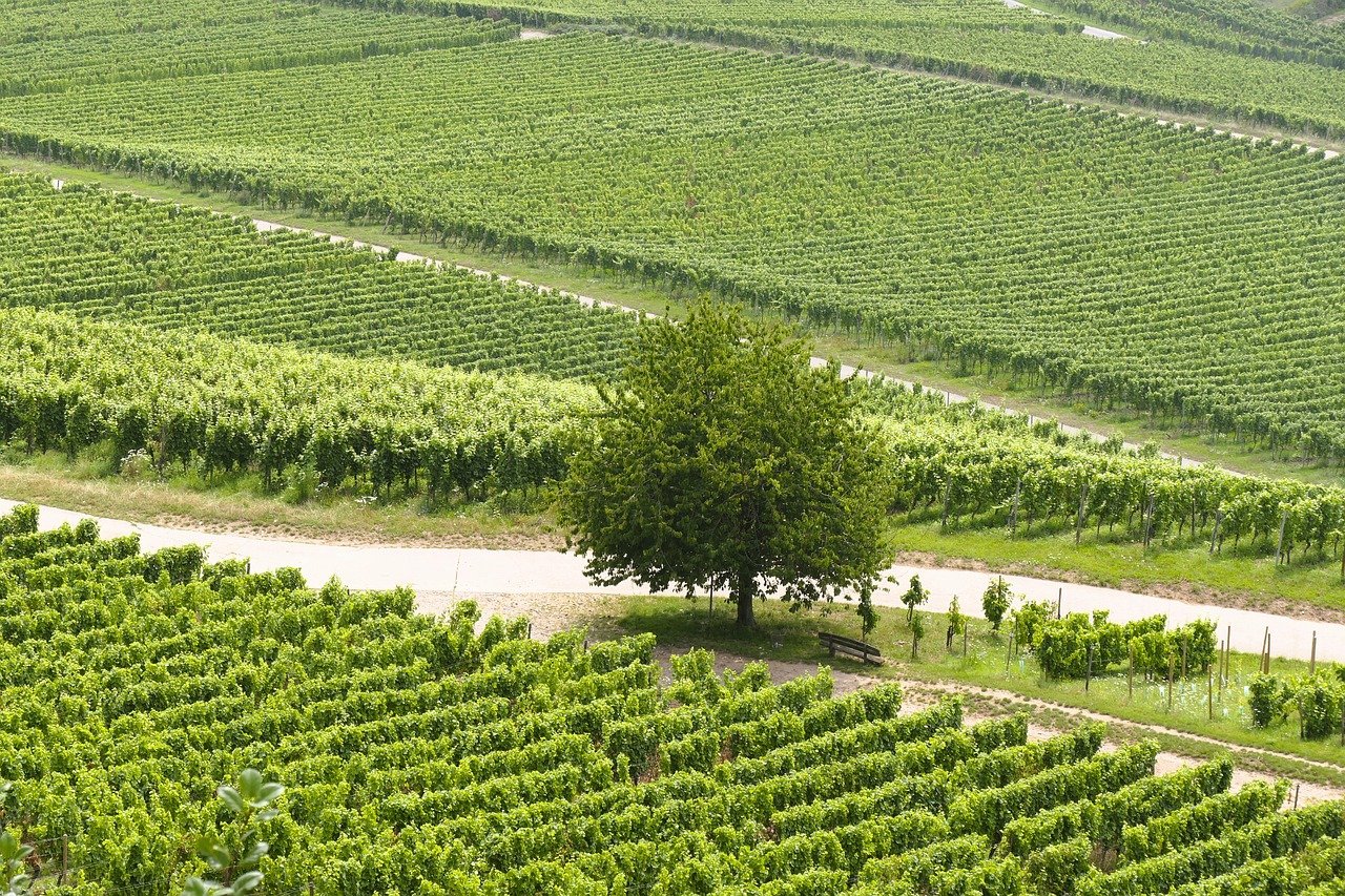 ゴールデンウィークに訪れたい絶景スポットはカップルにおすすめ？