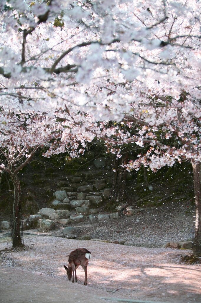 GWに家族旅行で楽しむ温泉宿泊予約はどこがベスト？