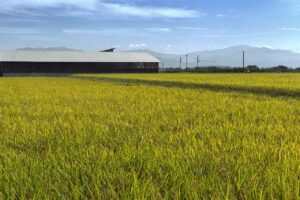 GWにおすすめのファミリー旅行向け温泉宿ランキングは？