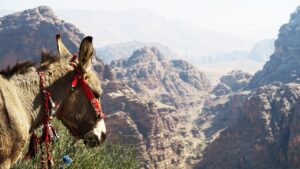 GWカップル旅行で楽しめる近畿のご当地グルメのお得情報は？