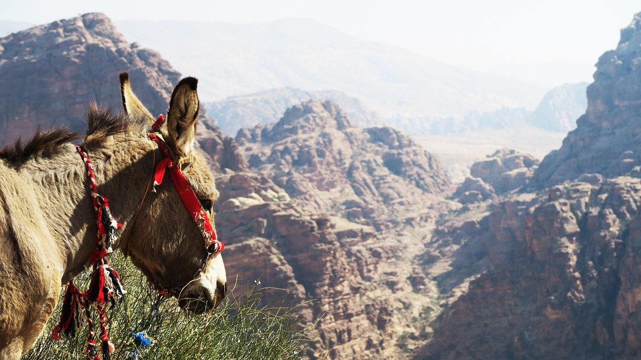 GWカップル旅行で楽しめる近畿のご当地グルメのお得情報は？