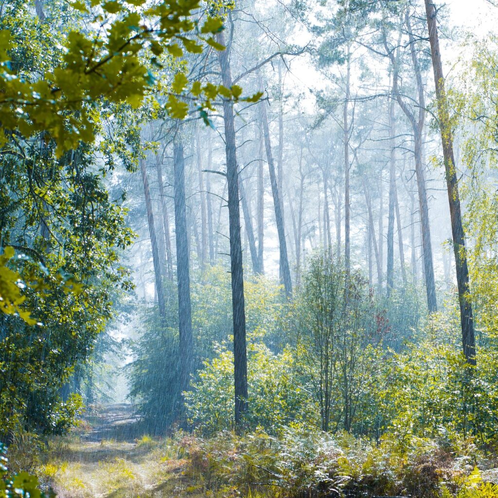 ゴールデンウィークのファミリー旅行におすすめの日帰り温泉と美食の早割は？