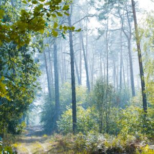 ゴールデンウィークのファミリー旅行におすすめの日帰り温泉と美食の早割は？