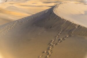 ゴールデンウィークにお子様連れで楽しむ別府温泉のおすすめプランは？