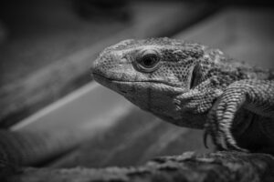 GWに仕事を兼用した国内旅行のおすすめプランは？