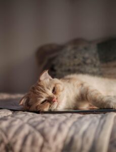 GWに国内旅行する際の空港へのアクセスが良い場所は？