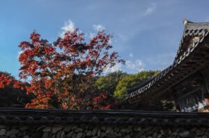 ゴールデンウィークに楽しむ国内旅行で東北の紅葉前春花見旅のおすすめスポットは？