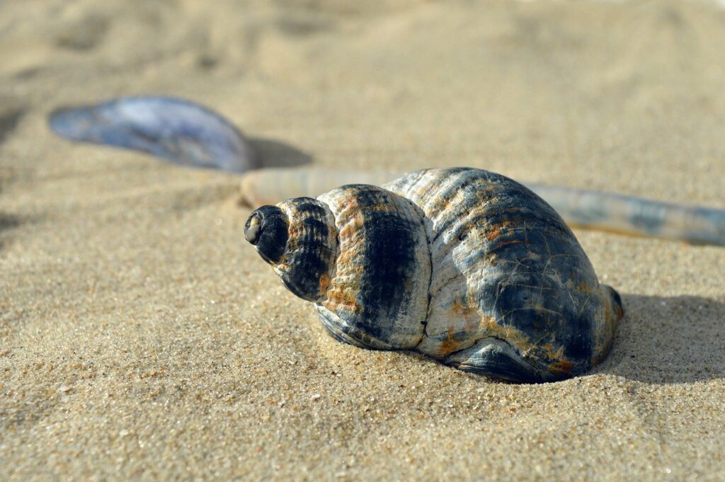 GWの国内旅行を社会人が休暇で活用する方法は？