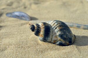 GWの国内旅行を社会人が休暇で活用する方法は？