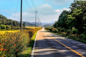 GWに車で行く国内旅行で渋滞を回避する方法は？