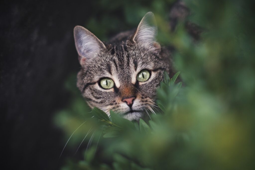 GWの国内旅行で女子旅を楽しむための予算はいくら？