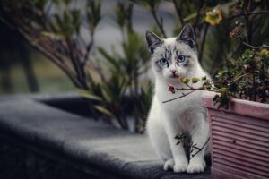 国内旅行の比較でおすすめはどれ？