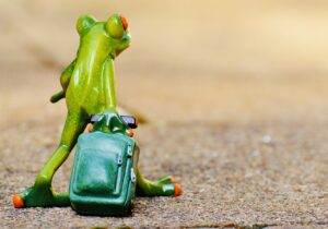 旅行で人気のお土産は何？