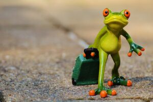 旅行のおすすめ料金はどれくらい？
